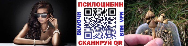 OMG маркетплейс Бодайбо Галлюциногенные грибы Psilocybine cubensis
